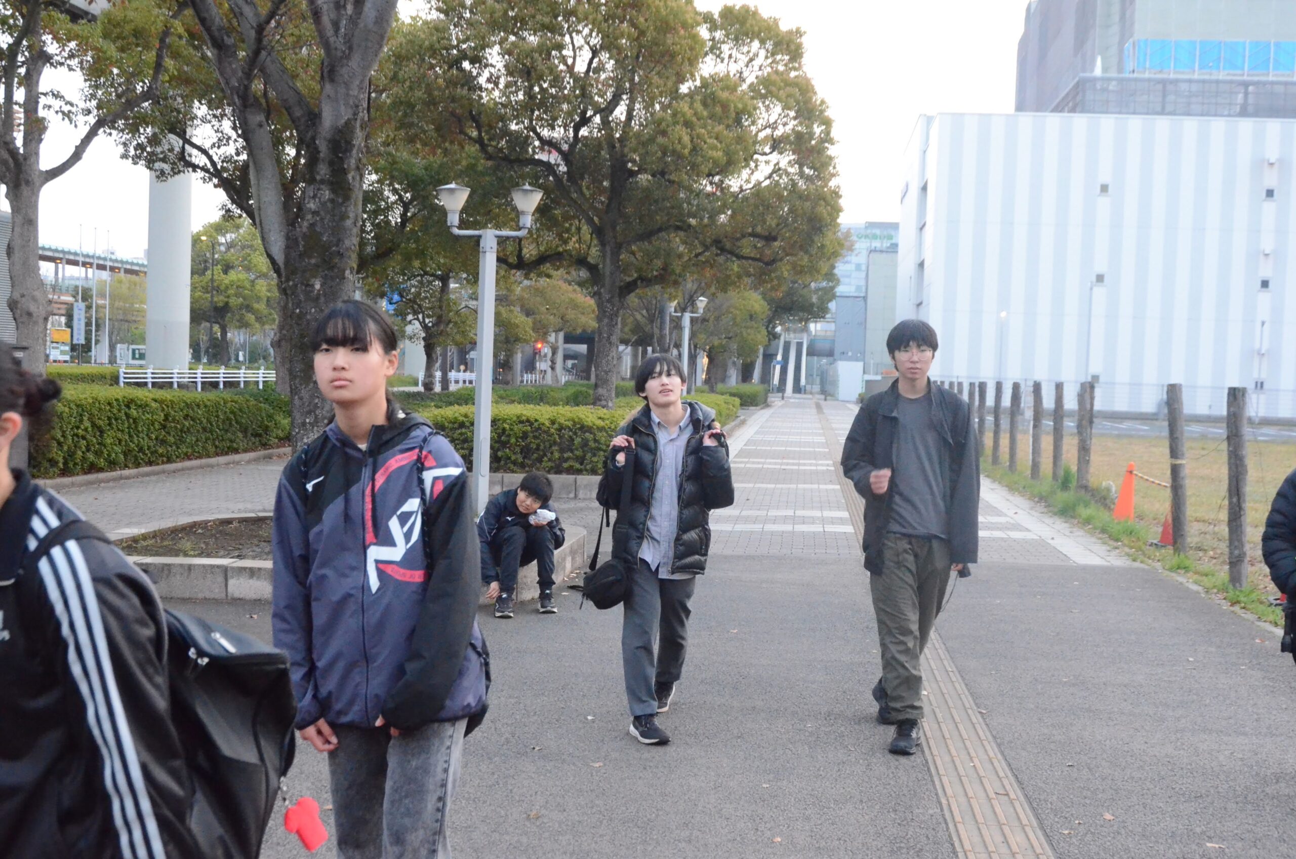 ナイトウォークで空が明るくなってきた道